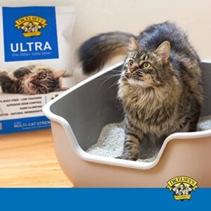 Dr. Elsey’s Premium Clumping Cat Litter - Image 5
